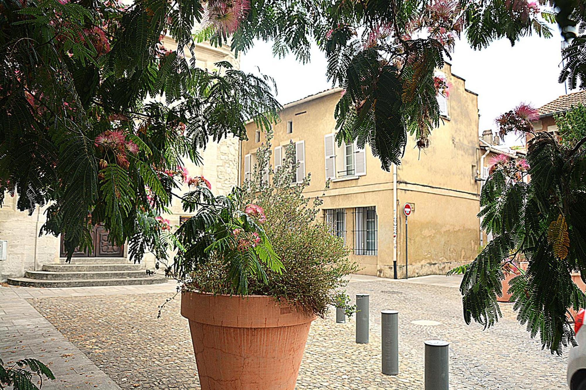 Maison Rascas - Centre Historique - Air Conditioning- Wifi Avinyon Dış mekan fotoğraf